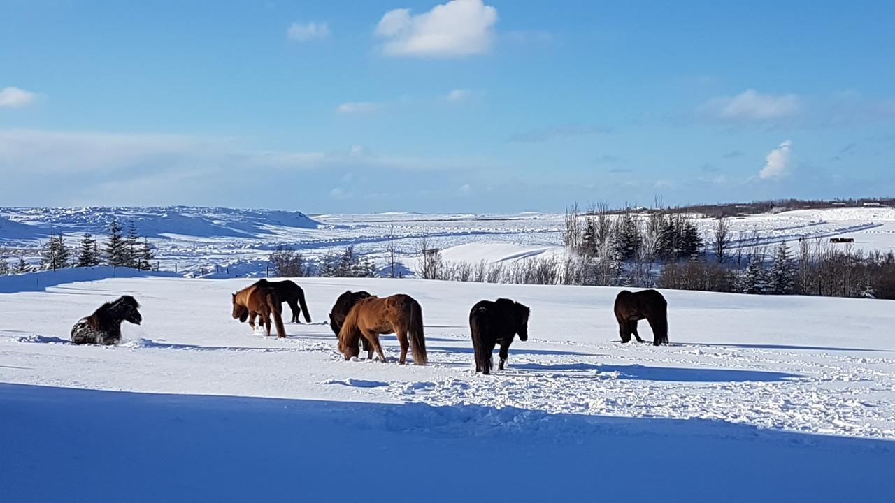 Klara'S Farm Holidays Хела Екстериор снимка