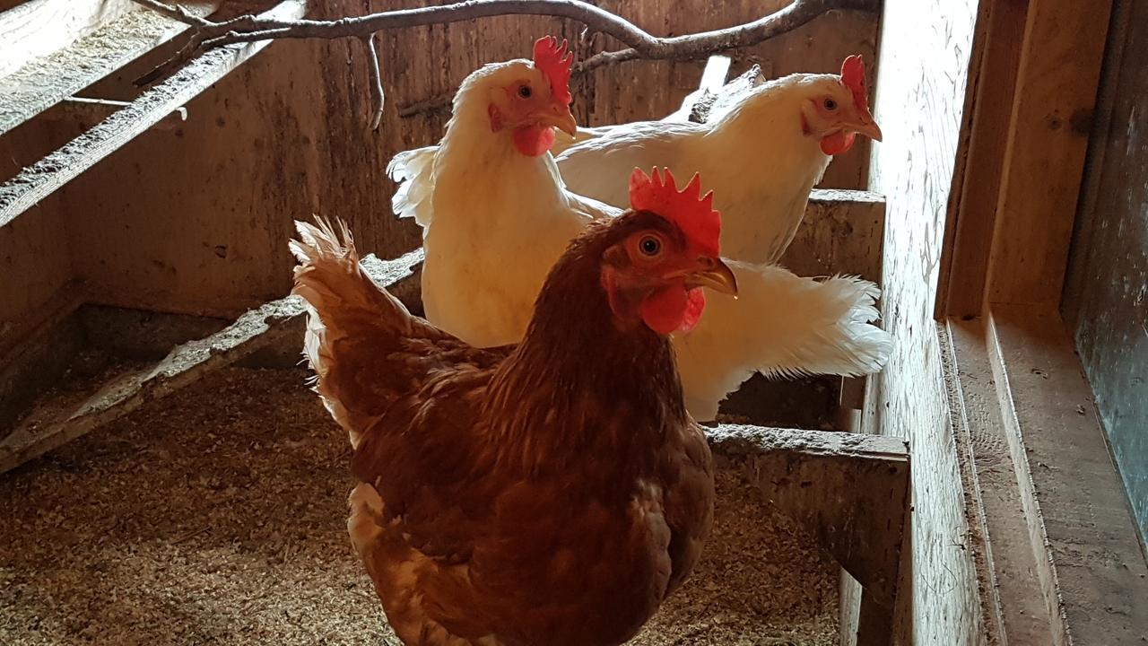 Klara'S Farm Holidays Хела Екстериор снимка