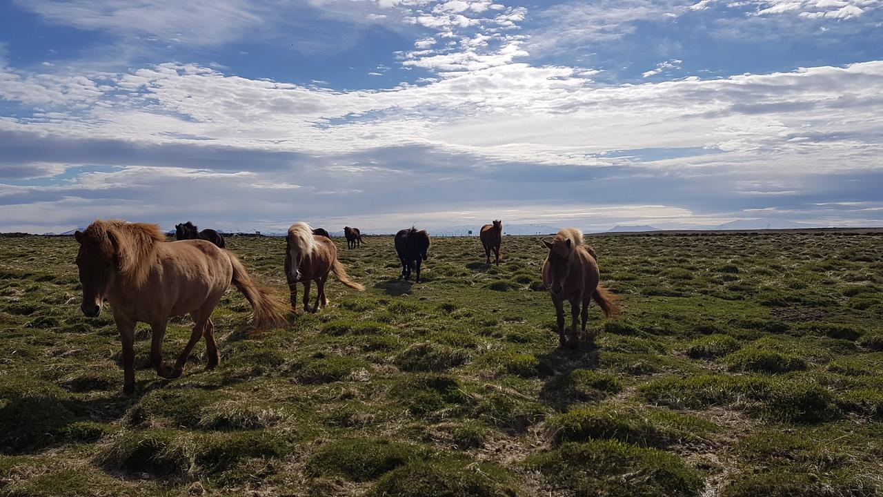 Klara'S Farm Holidays Хела Екстериор снимка