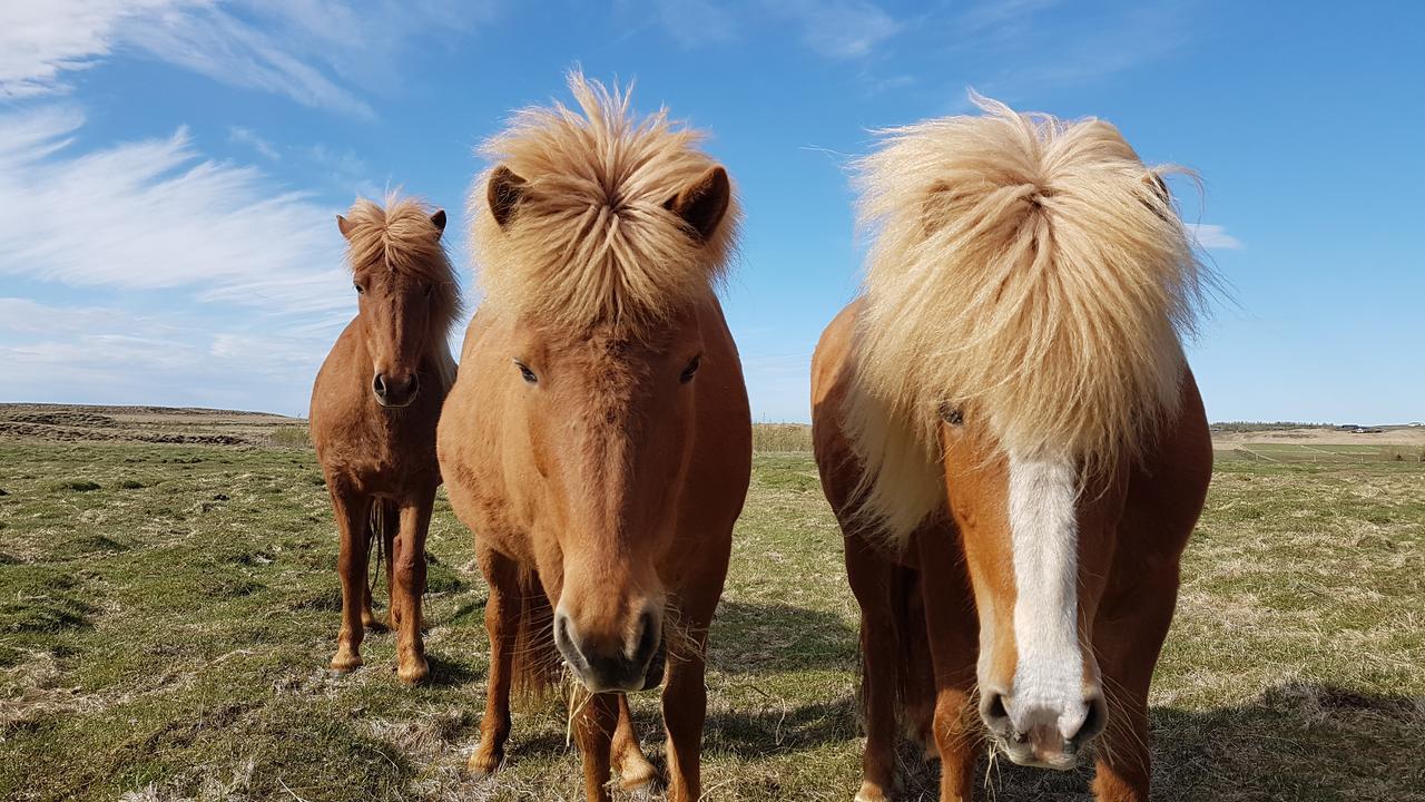 Klara'S Farm Holidays Хела Екстериор снимка