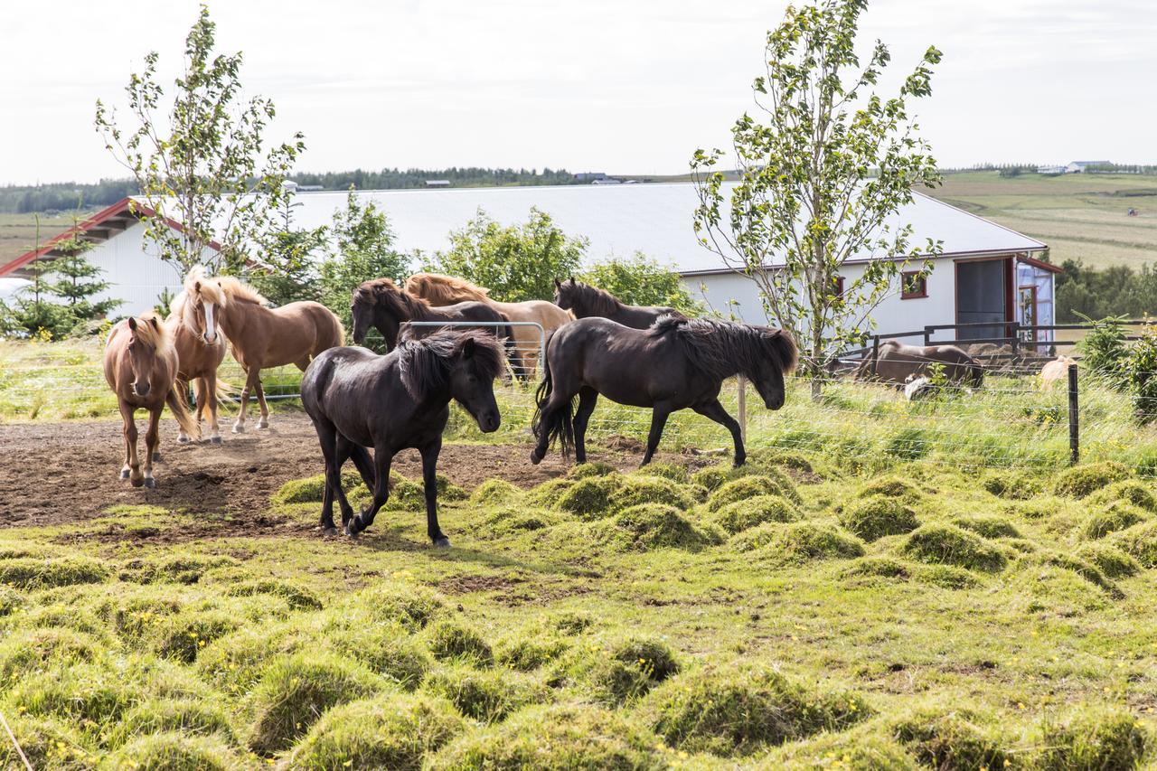 Klara'S Farm Holidays Хела Екстериор снимка